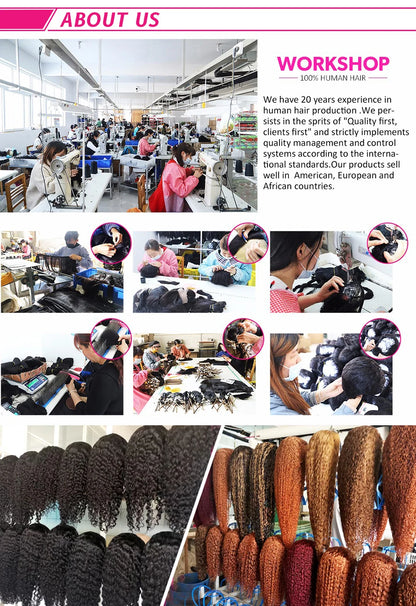 10A 100% Glueless Wigs Human Hair Wigs Ready To Wear Bleached Knots 6x5 Pre Cut HD Transparent Glueless Lace Wigs Kinky Curly